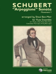 Arpeggione Sonata, Movement 1 - Flute Ensemble