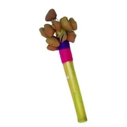 Inter-American 0797SS Seed Pod Cacho On Stick