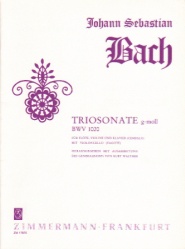 Trio Sonata in G minor, BWV 1020 - Flute, Violin and Basso Continuo