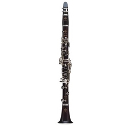 Buffet Tradition Pro clarinet