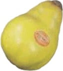 Remo Pear Shaker