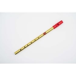 Generation Brass Flageolet (Tin Whistle) in D