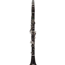 Buffet R13 Greenline Bb Clarinet, Nickel Keys