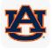 Auburn University


 Logo