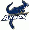 University of Akron

 Logo