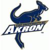 University of Akron

 Logo